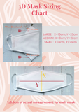 Wave Pattern 3D Fabric Mask